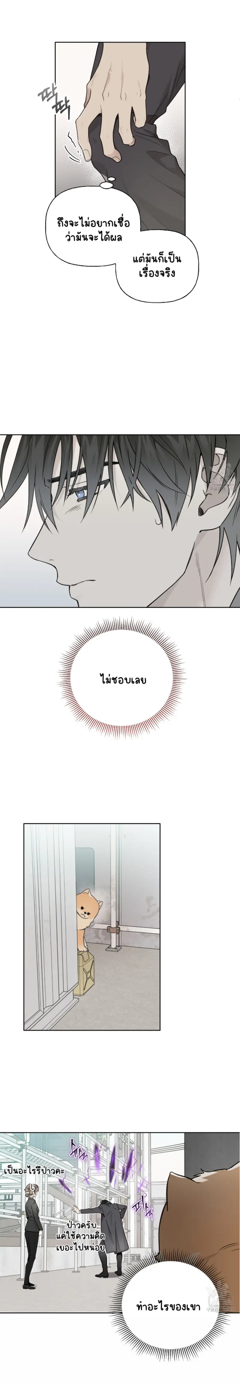 Sans titre 14274.png