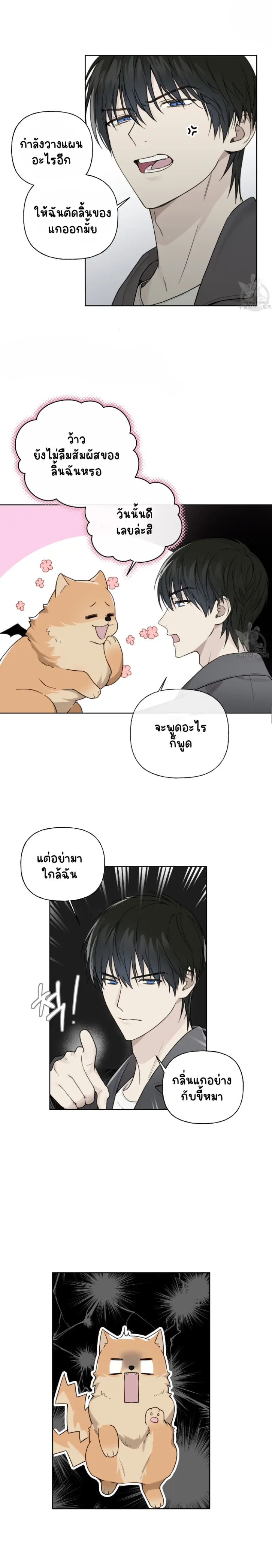 Sans titre 14280.png