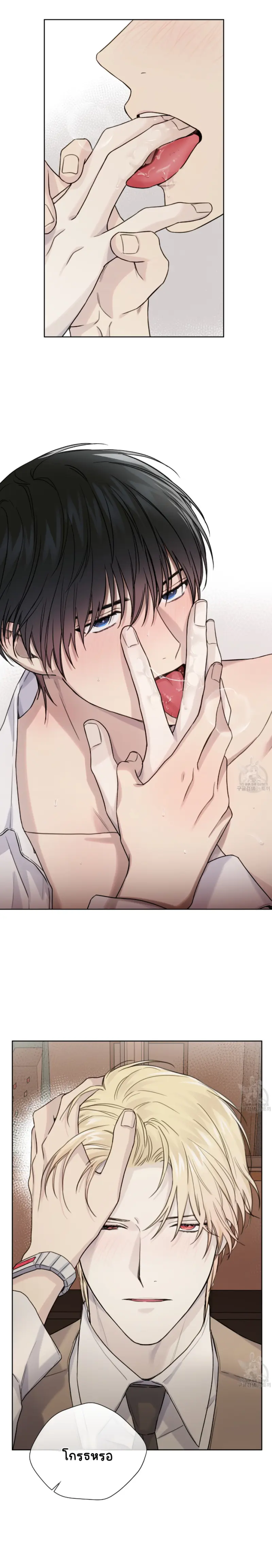 Sans titre 14257.png