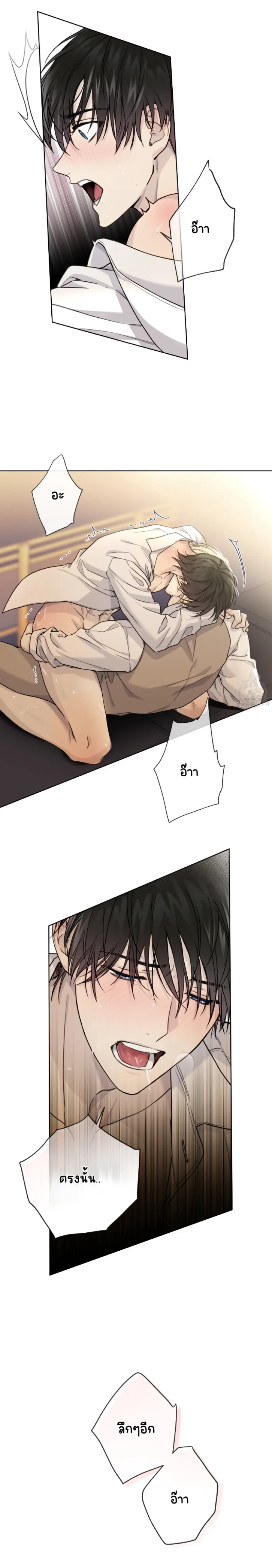 Sans titre 14259.png