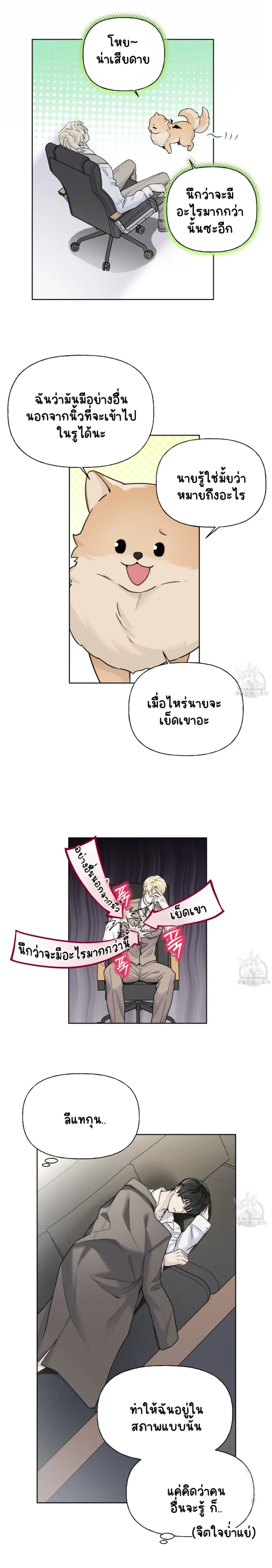 Sans titre 14261.png