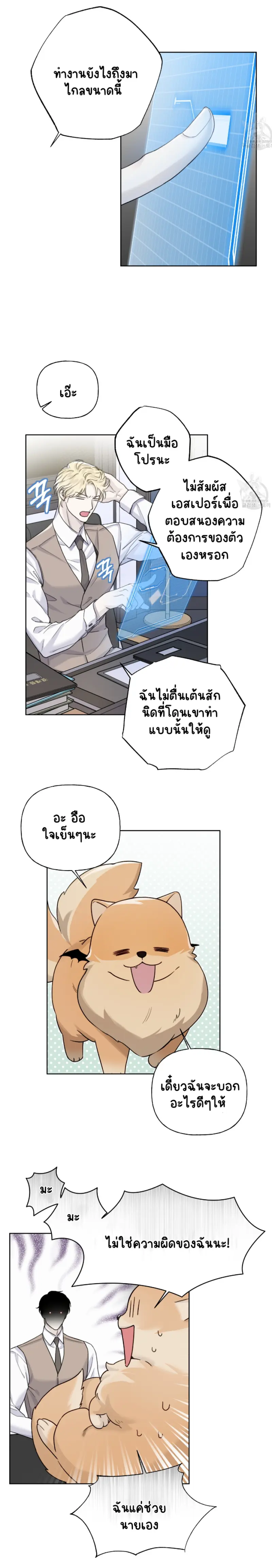 Sans titre 14262.png