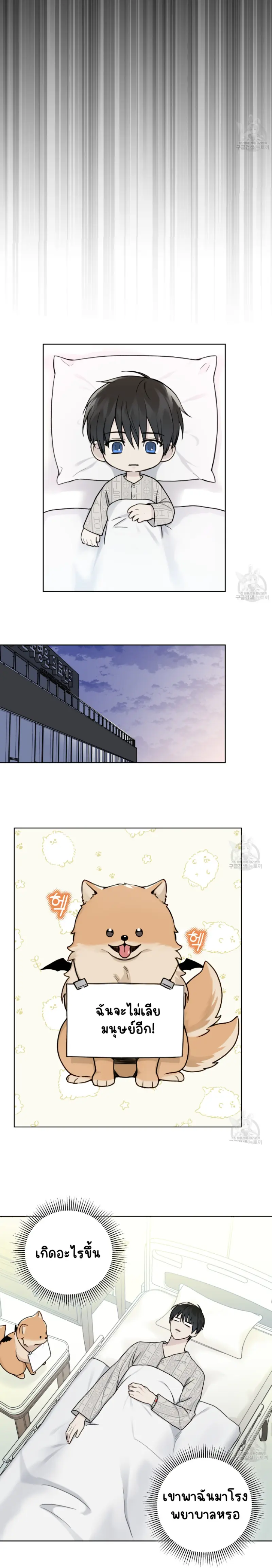 Sans titre 13695.png