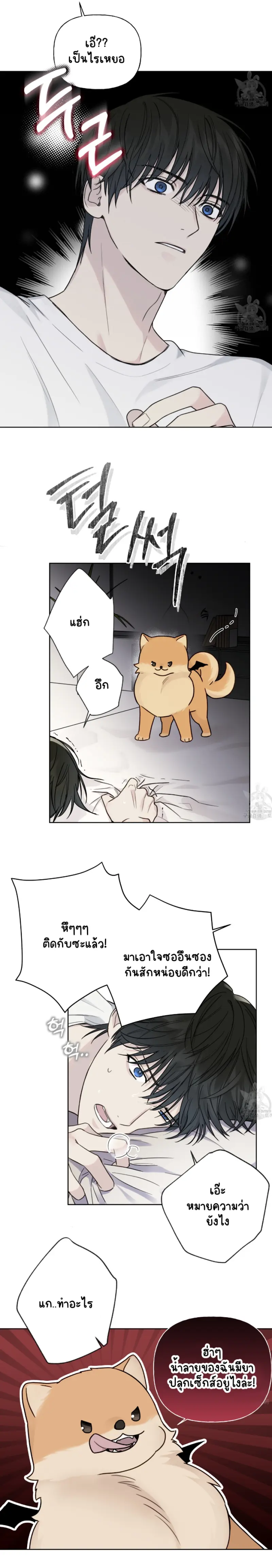 Sans titre 13684.png