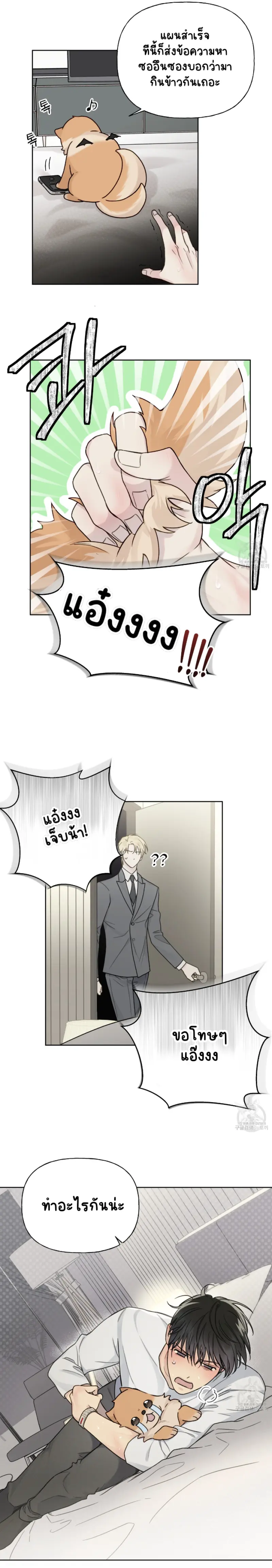 Sans titre 13686 (1).png