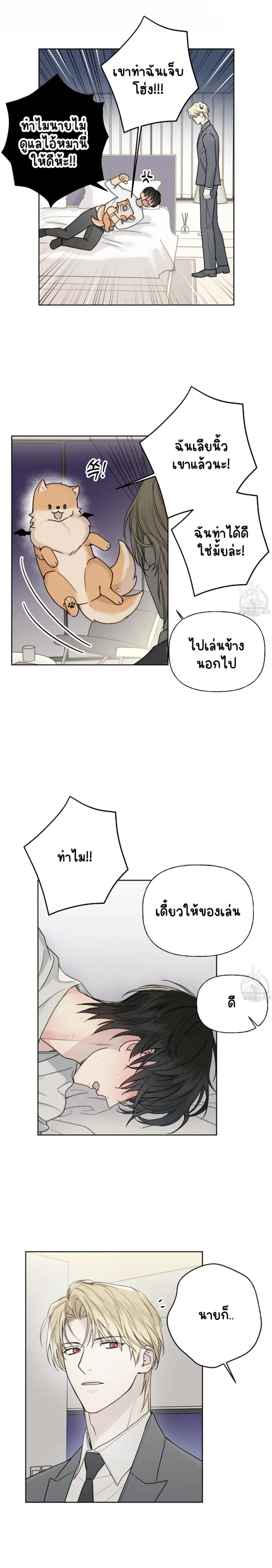 Sans titre 13687.png