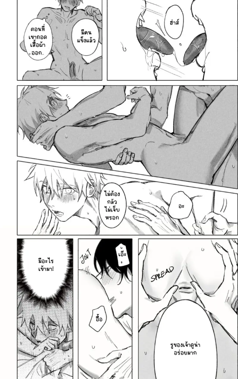 Sans titre 13589.png