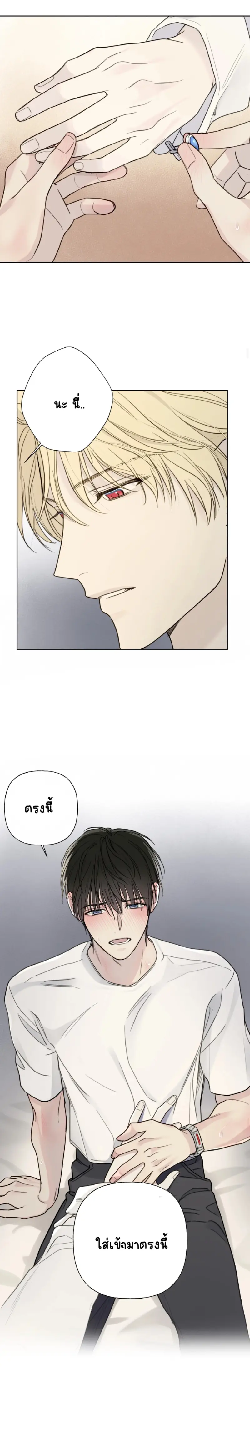 Sans titre 13291.png