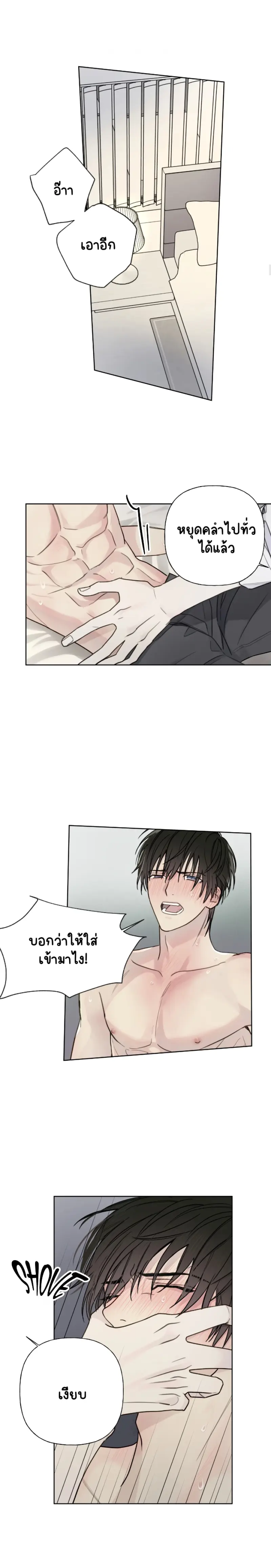 Sans titre 13294.png