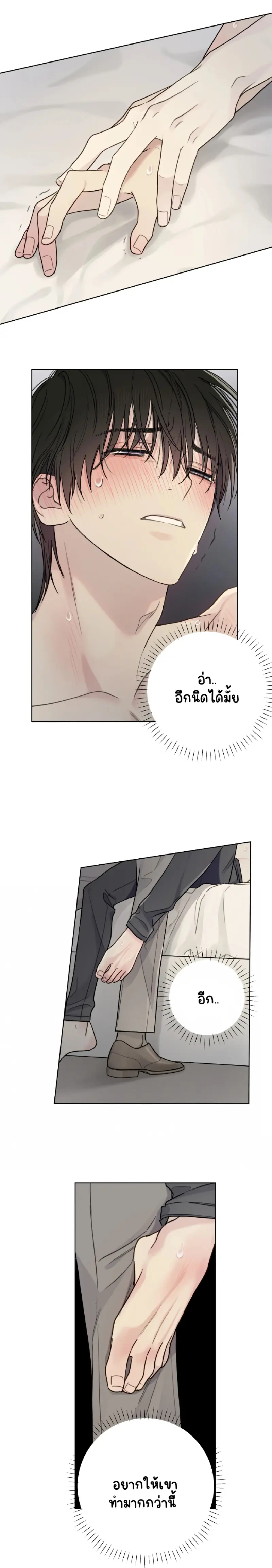 Sans titre 13296.png