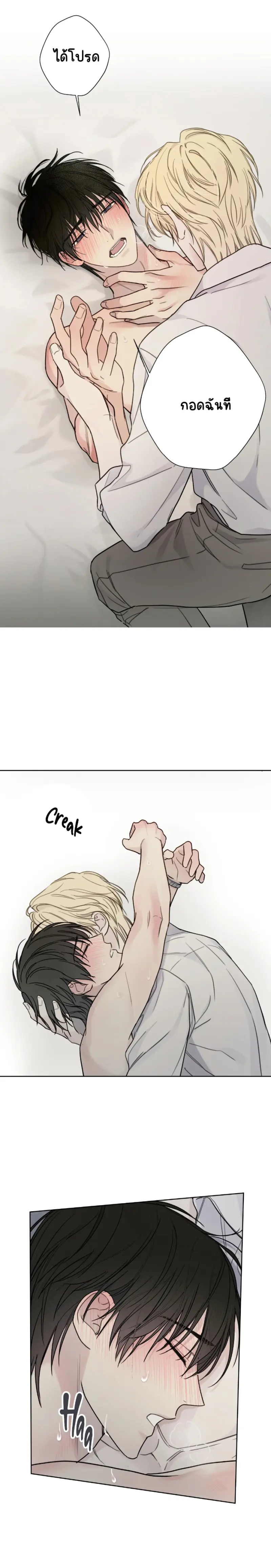 Sans titre 13297.png