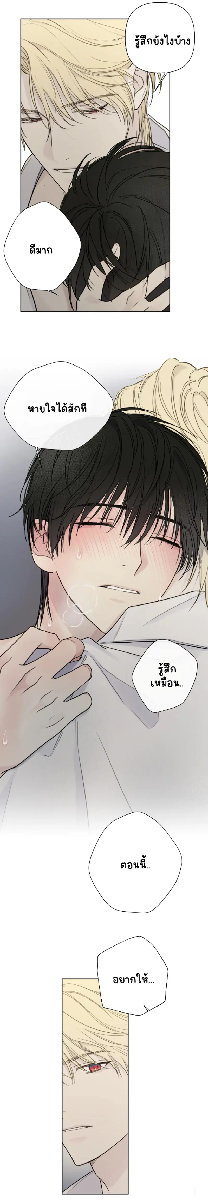 Sans titre 13298.png