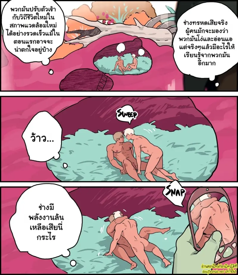 [Ppatta  Patta] Wild Human Observation Record 006.jpg