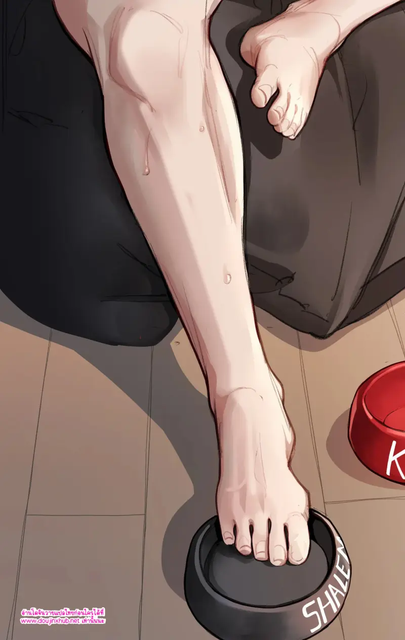 ไม่มีชื่อ 13788.jpg