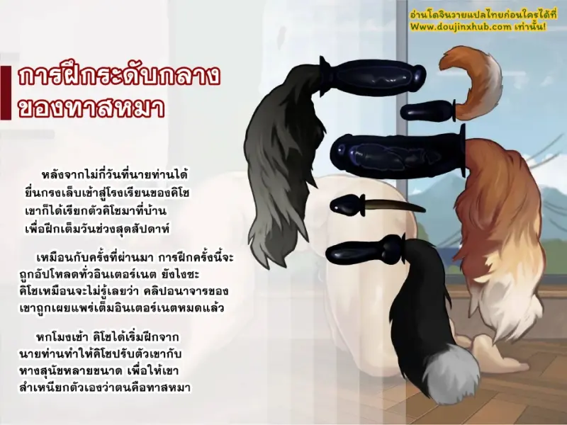 การฝึกระดับกลางของทาสหมา - 1