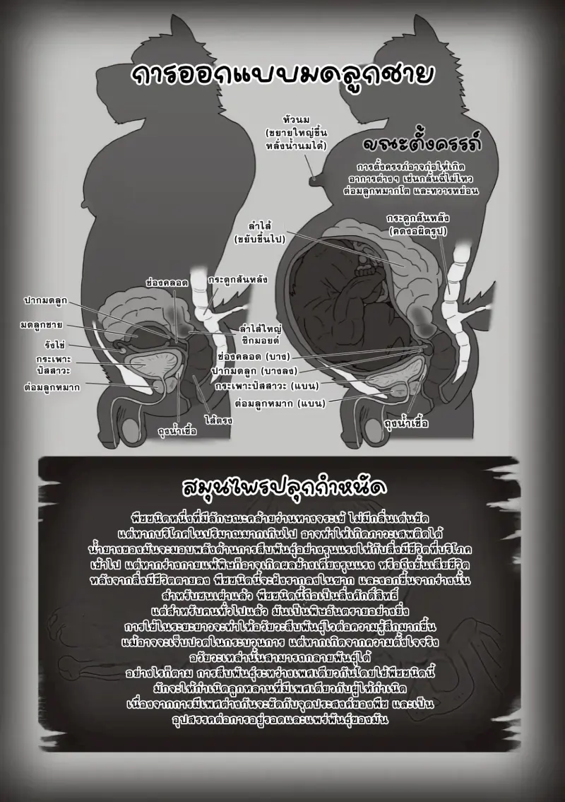 ตามหาสมุนไพร 03-55.jpg