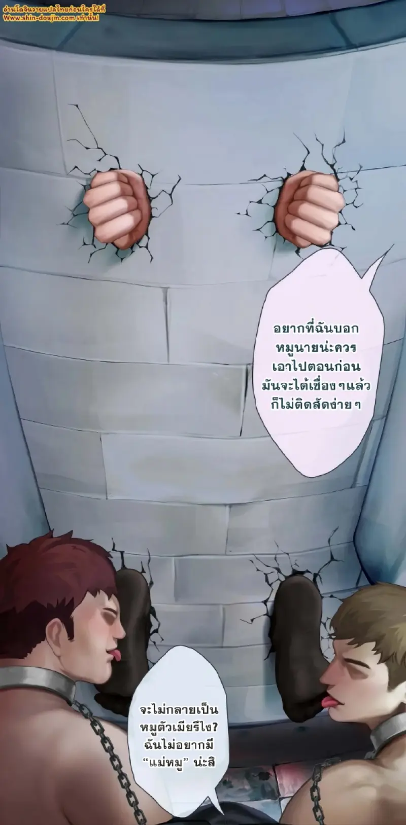 เมล็ดพันธุ์ดยุค 01 - 13